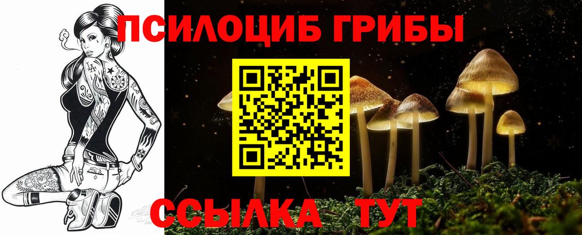 хочу   Вход с VPN  Иваново  Галлюциногенные грибы прущие грибы 